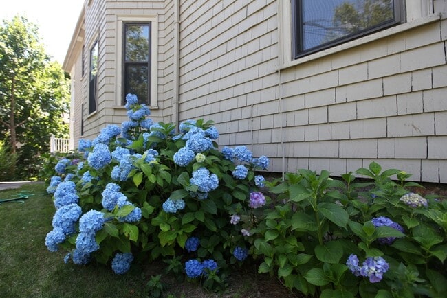 Photo - 508 Heath St Unit 1