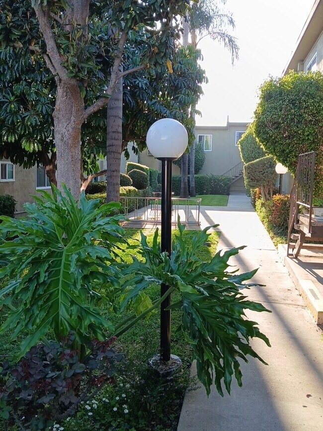 Bike rack area
