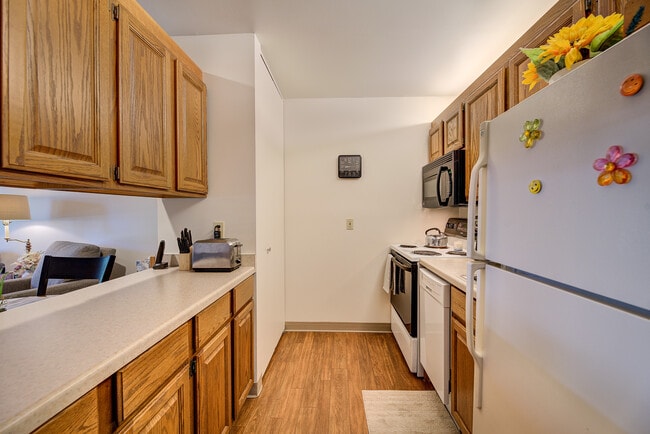 1 bed 1 bath