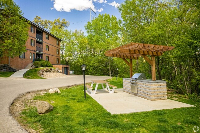 Outdoor gas and charcoal grills