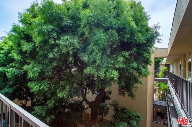 Photo - 2311 4th St Unit 321