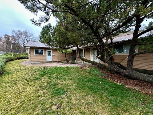 Photo - 3 Bedroom 2 1/2 Bath House