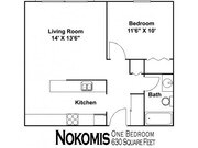 Nokomis-P