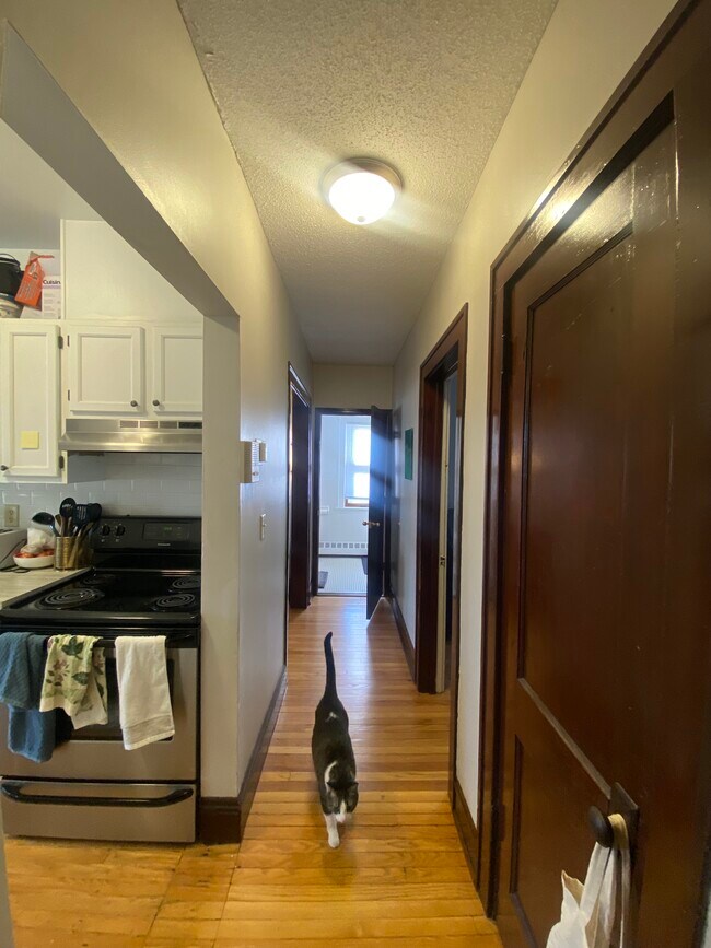 Photo - Hague Apartments