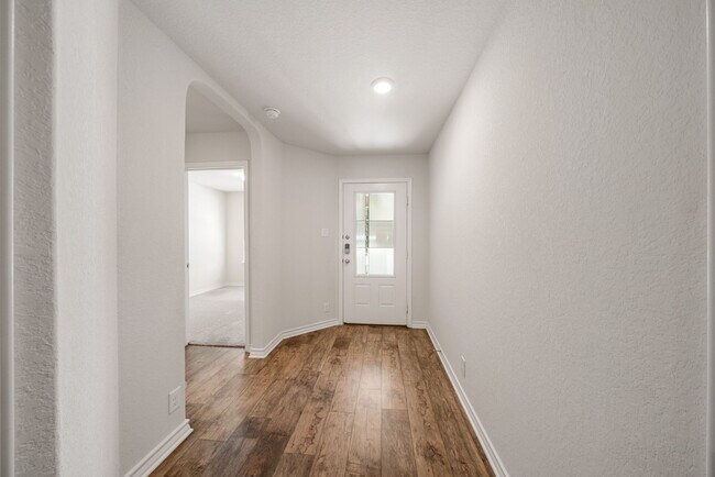 Photo - 15119 Longtailed Duck