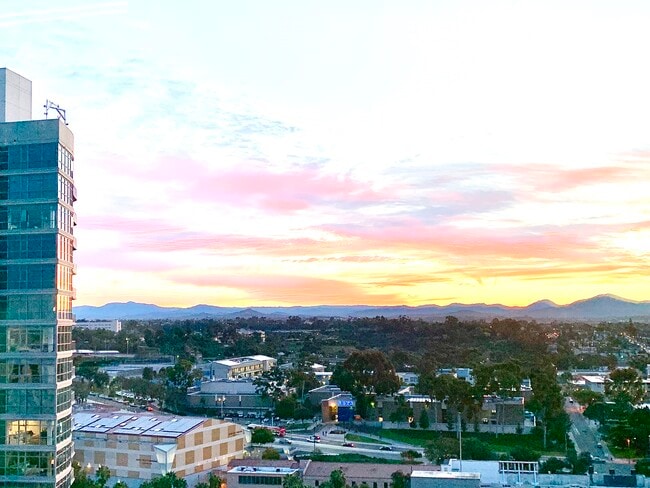 Morning sunrise from living room - 801 Ash St Condo Unit 1502