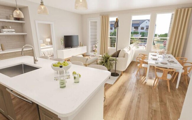 Photo - Bevelo Larkspur