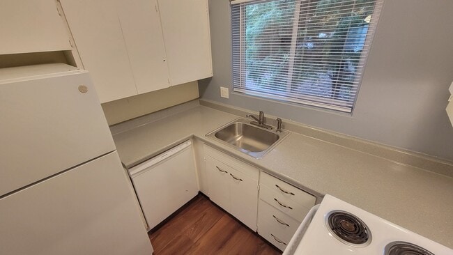 Photo - Surrounded by Oregon nature!