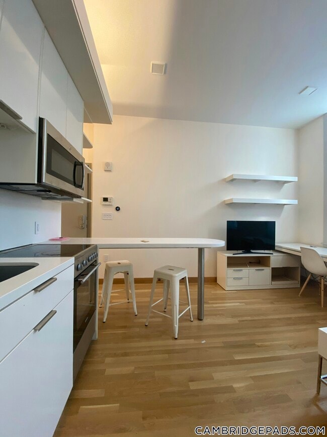 Building Photo - 115 Mt Auburn St