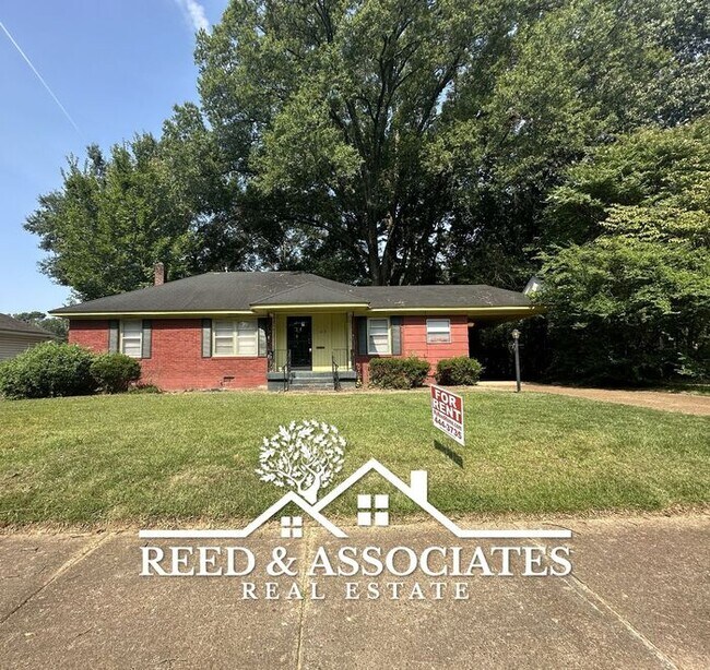 3 Bedroom in East Memphis - Colonial - Yor... - 3 Bedroom in East Memphis - Colonial - Yor... House