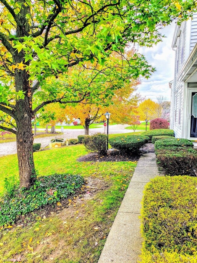 Photo - 2 br, 1.5 bath Condo - Bretton North Condo...