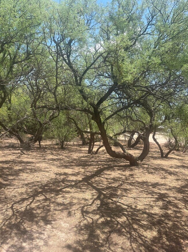 Photo - Cozy remodeled 2 Bedroom 1 Bathroom Cottag...