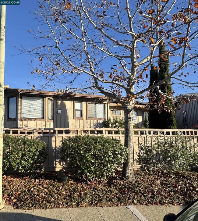 Photo - 87 Starview Dr