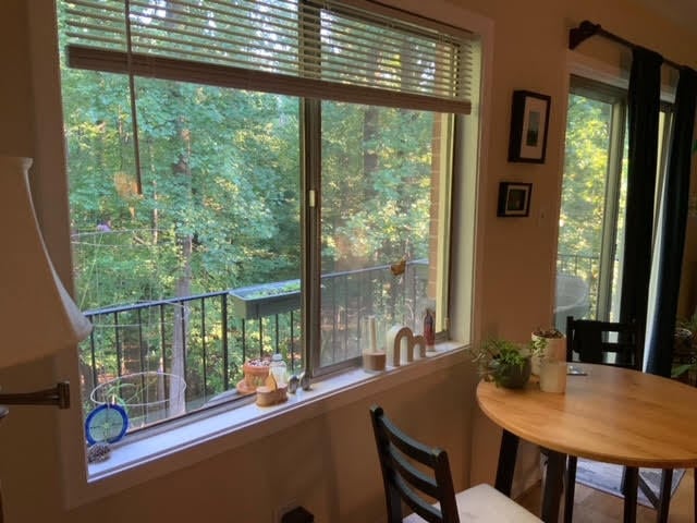 Plenty of natural lighting with treetop views - 10631 Weymouth St Unit 203