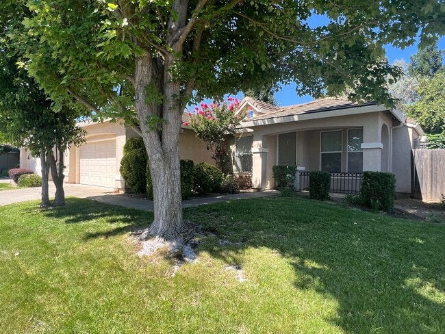Building Photo - Beautiful 3 Bed, 2 Bath Elk Grove Home!