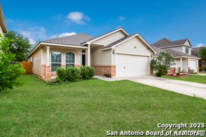 Photo - 8611 Spotted Owl