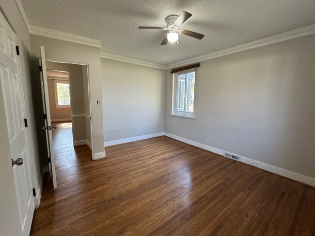 Photo - Ready to show!