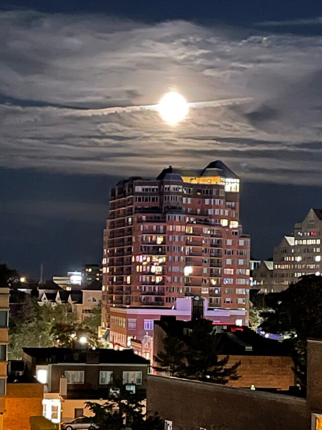 Building Photo - 700 Summer St Unit #6c