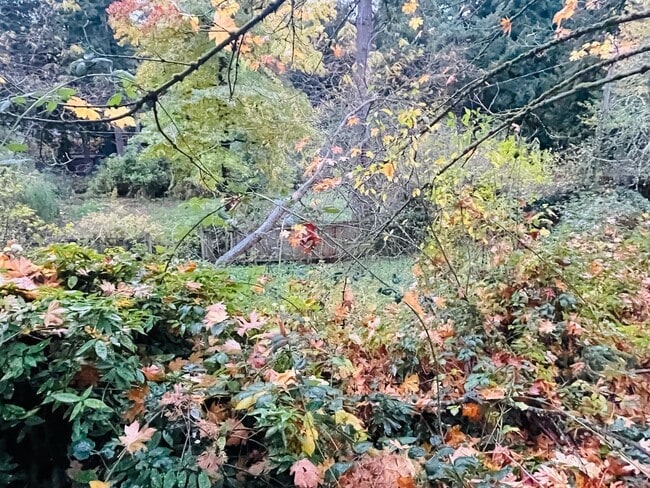 Photo - Wonderful 2-bed, 2-bath home in North Seattle