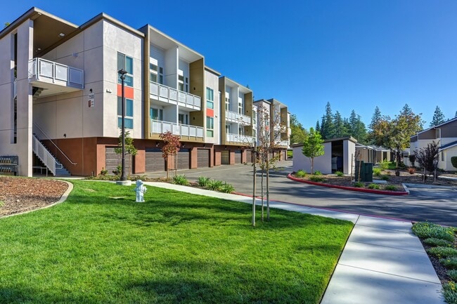 Canyon Terrace Apartments