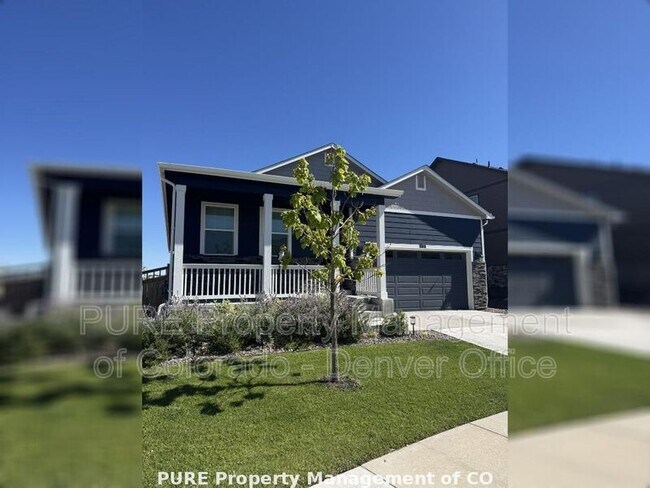 Photo - 6378 N Halifax Ct
