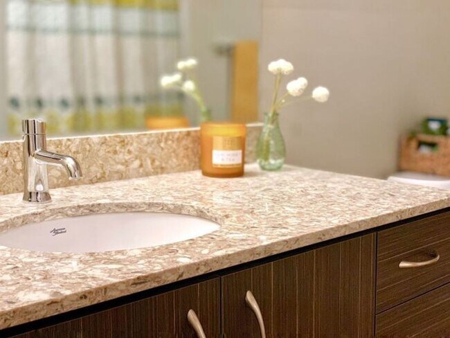 Photo - CityScape: Leasing Specials! Newly Renovated Premier Location in Bellevue, Rooftop Entertainment ...