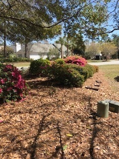 Photo - 12 Marsh Hen Ct