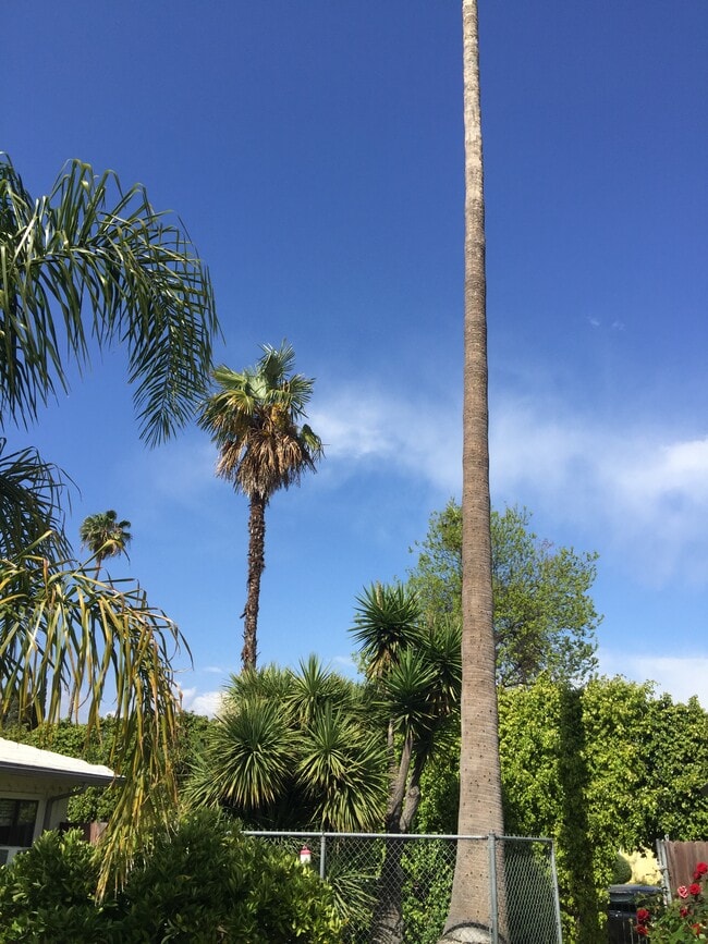 Photo - 263 N Florence St Casa