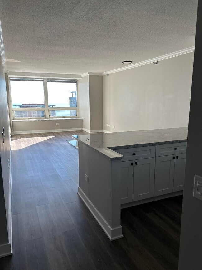 Living Room - 512 N McClurg Ct Unit 2906