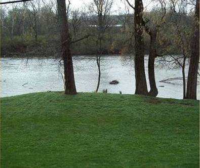 Photo - Waterfront Apartments