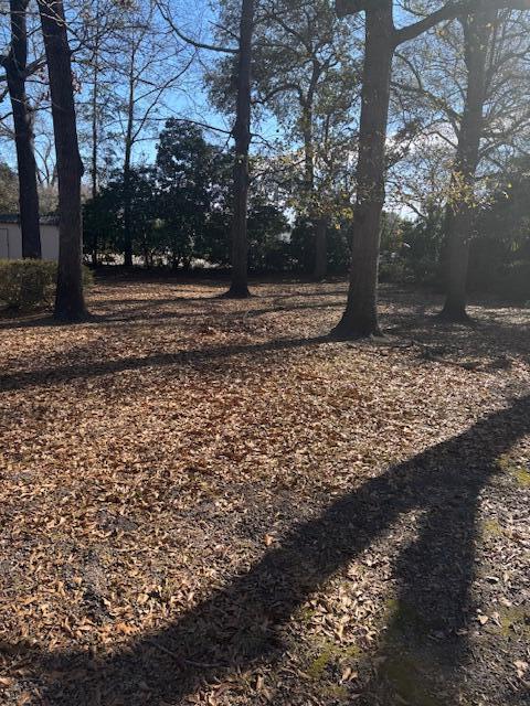 Photo - 17 Sam Smith St