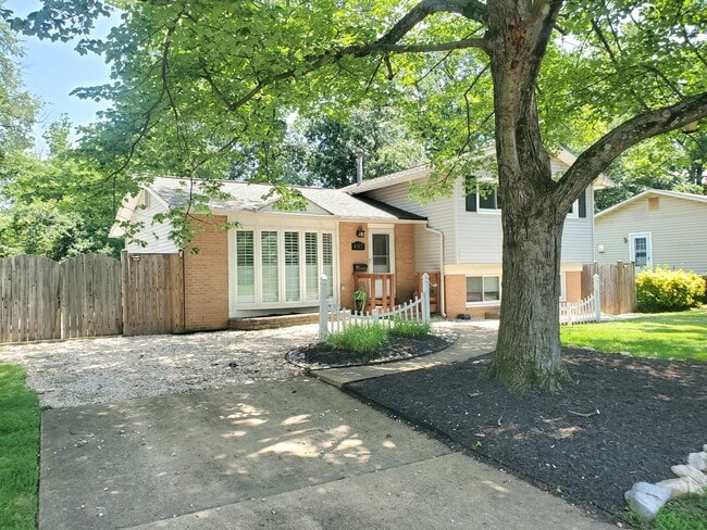 Photo - 4517 Mayfield Dr
