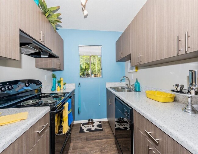 Photo - Osprey Landing