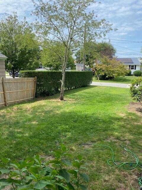 Back side yard - 57 Forest Ave