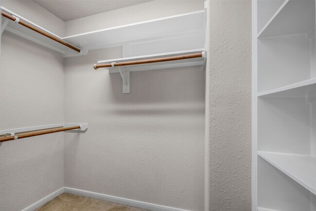 Photo - 7 Ebony Oaks Pl