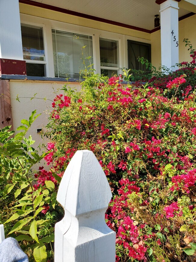 Perennial Plants - 455 Washington St Unit A