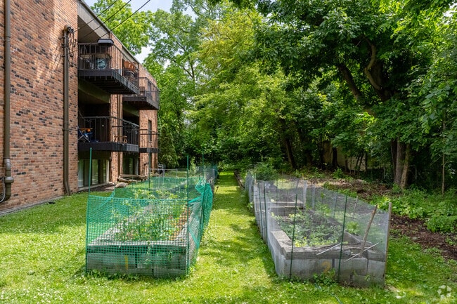 Community Garden