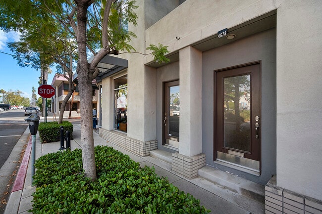 Building Photo - 4678 Nebo Dr