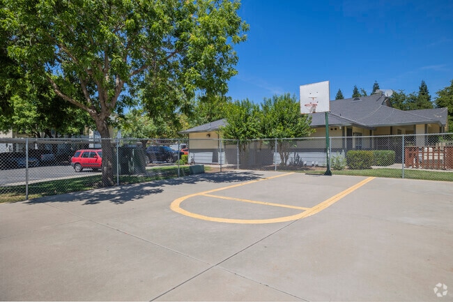 Basketball Hoop