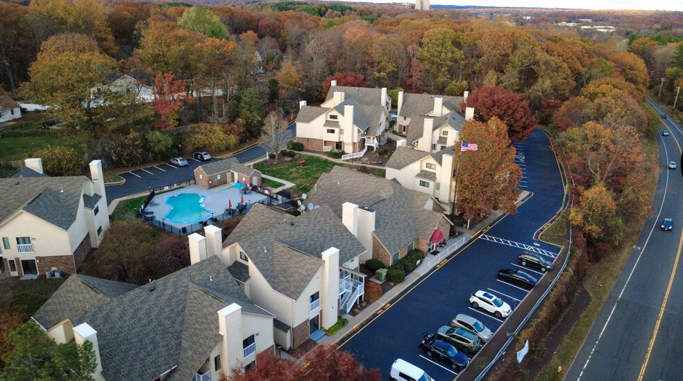 The Shelton Grove