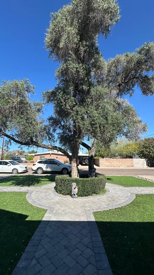 Photo - 6012 N 16th Pl