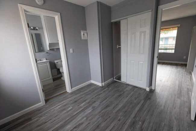 Photo - Tower Bellflower