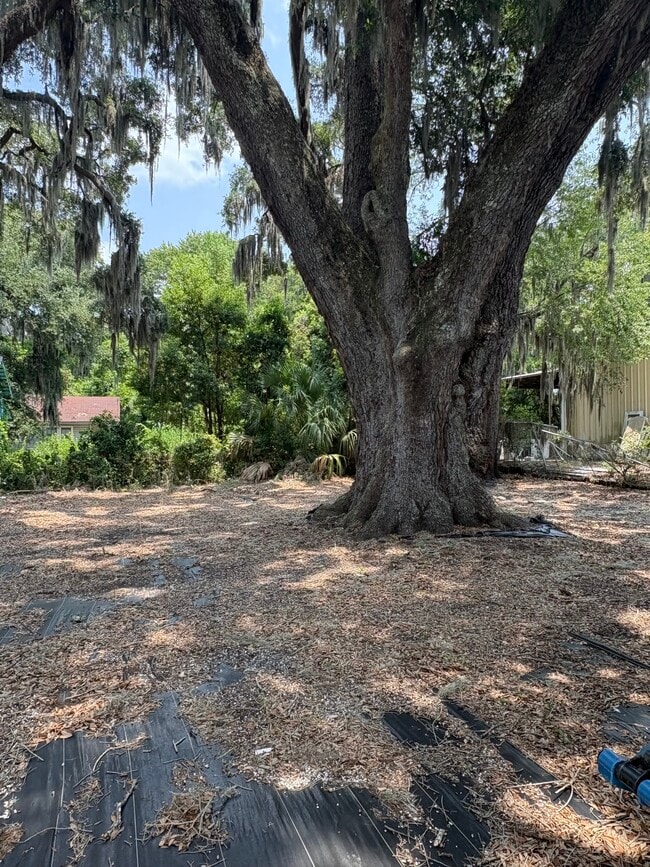 2524 Norwich-