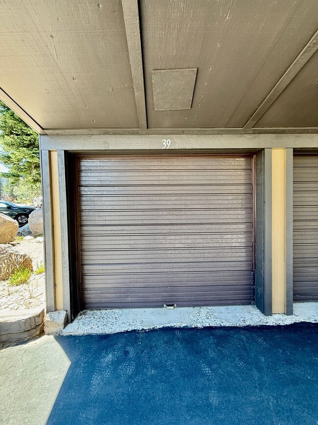 Photo - 1629 Majestic Pines Dr