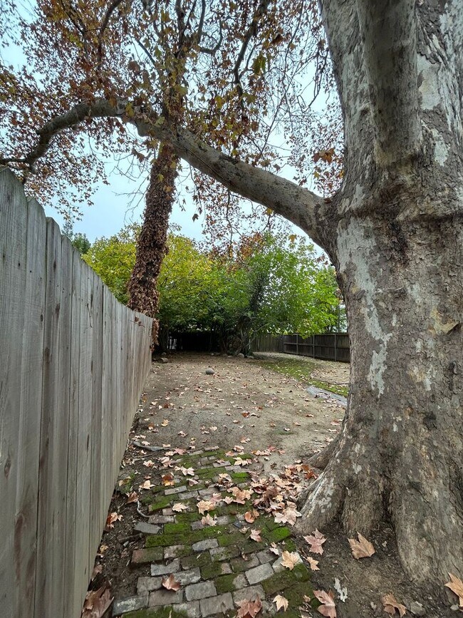 Photo - 4TH (426) Unidad 4TH (426)  3