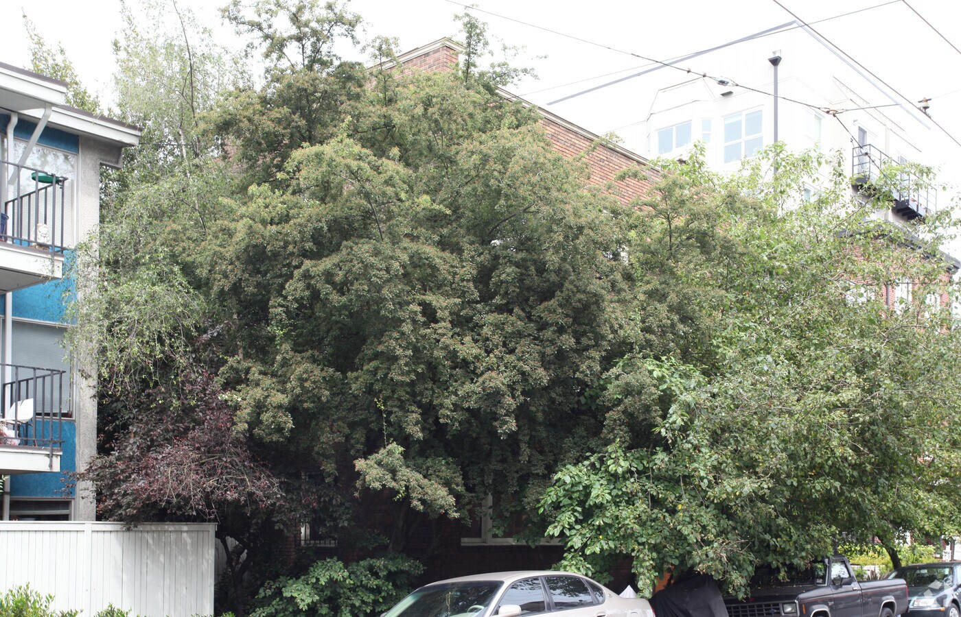 Photo - Summit Crest