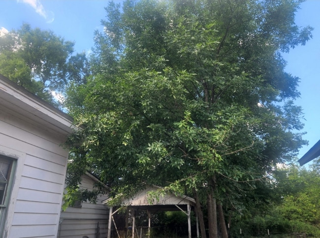 Photo - 804 N Alabama Ave Casa