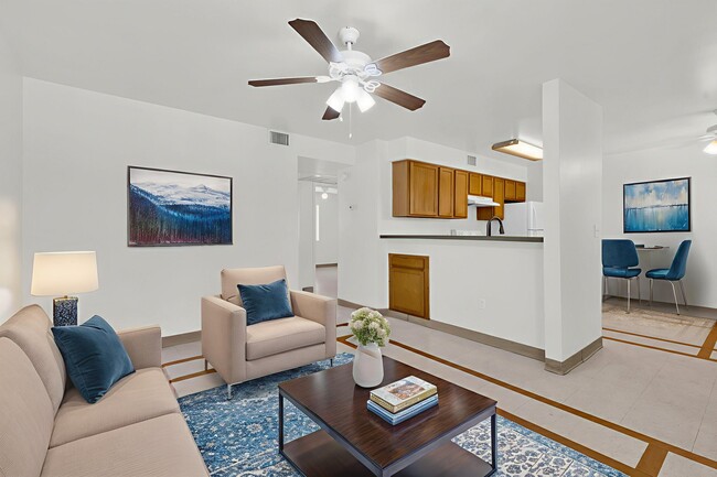 Photo - Homeward Bound