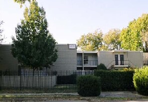 The Viceroy - The Viceroy