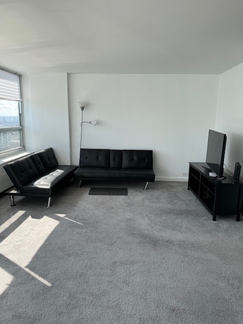 Photo - 4800 S Chicago Beach Dr Unit 2710N